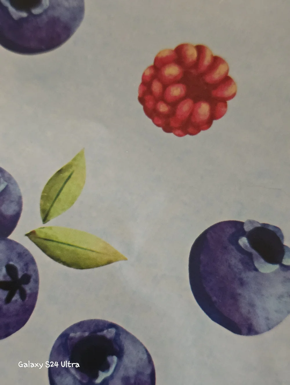 🌷SPRING SPECIAL🌷-15pk Of Fruit Theme 10